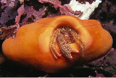 日式穿越RPG游戏《水晶传说》公布酷炫开场动画